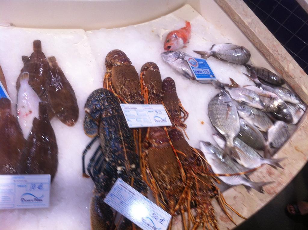 알보르 Terraco E Mar 아파트 외부 사진
